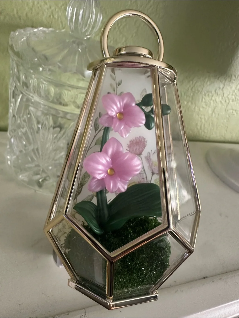 NEW BBW BEAUTIFUL PINK TETERRIUM WALLFLOWER PLUG